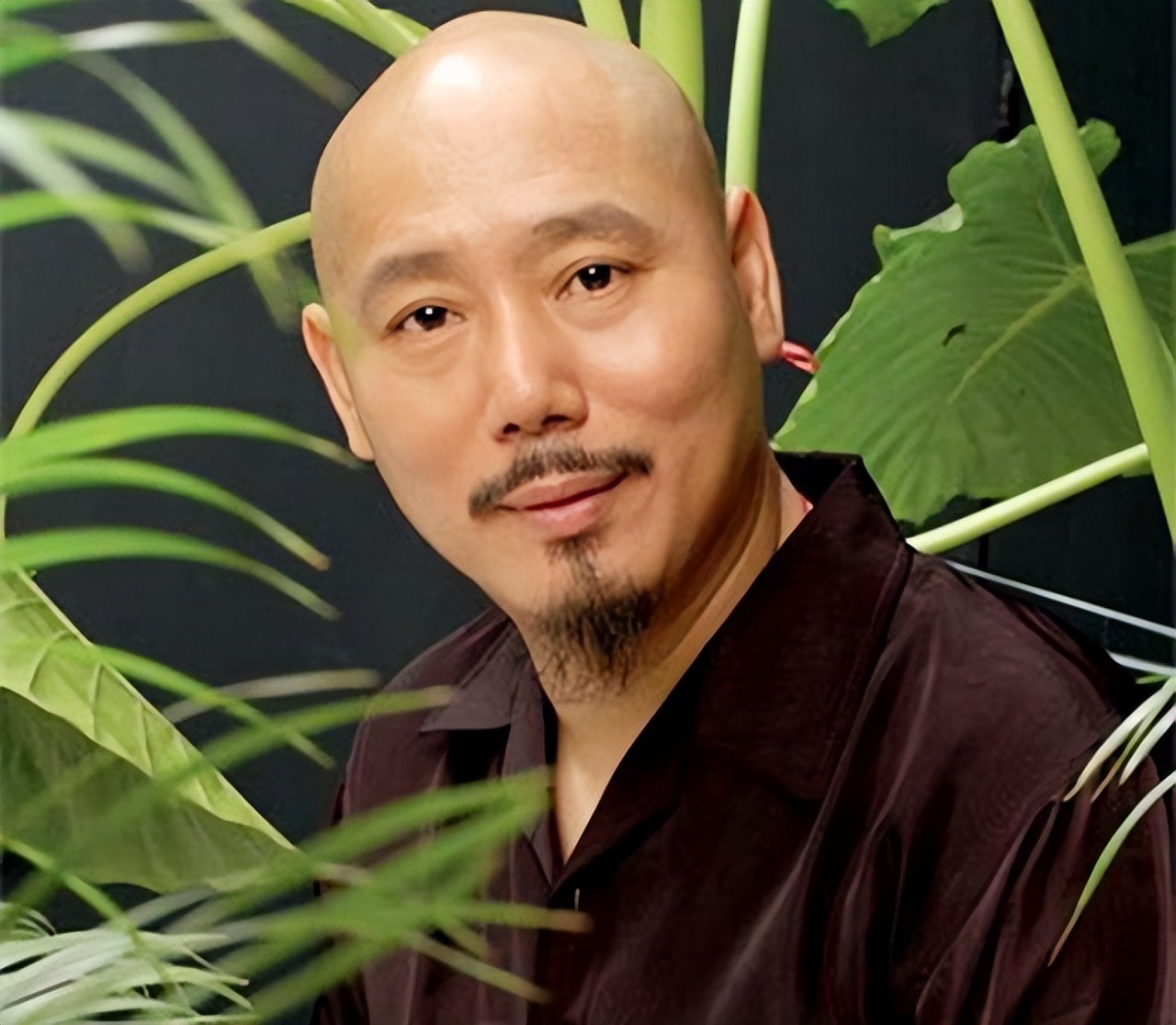 李成儒电视剧 李成儒演的古董电视剧-丹霞百科