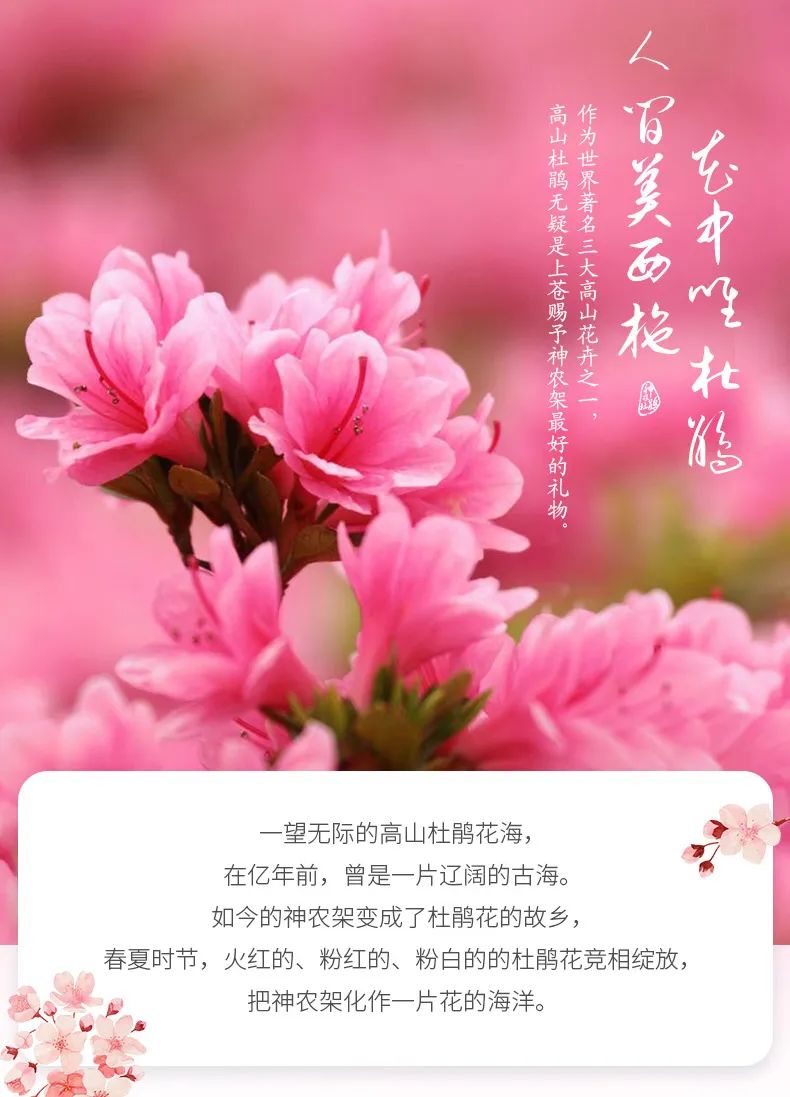 小学三年级景色优美句子