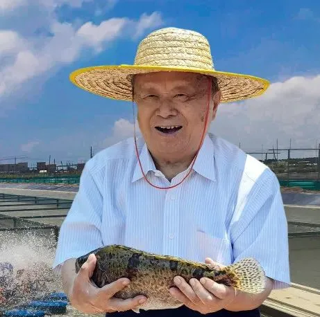 让名贵鱼变家常菜，创下“首个”，这师徒3人都是院士，来自中大