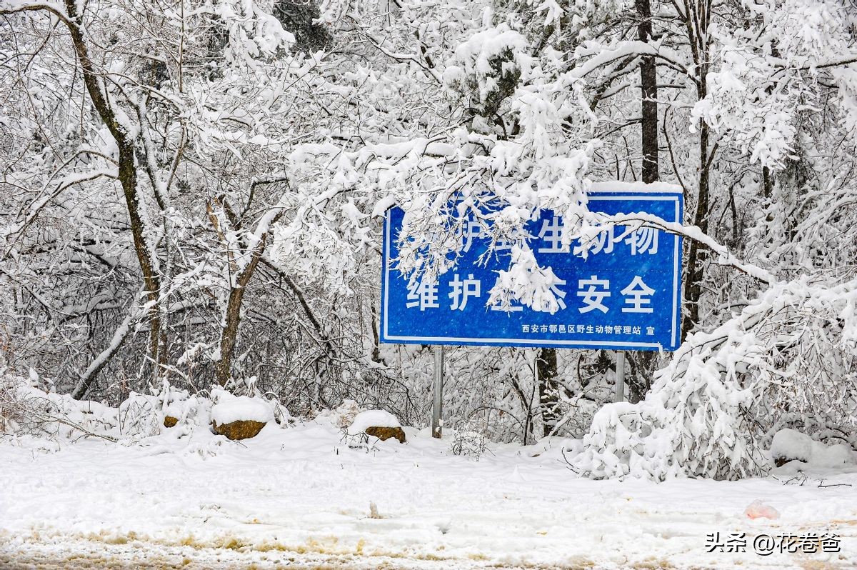 驾唐追逐2022年的第一场冬雪