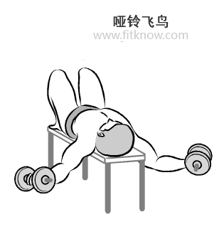 那個躺著舉重的器械叫什么來著（啞鈴Dumbbell，一對就可以虐遍全身的健身神器）