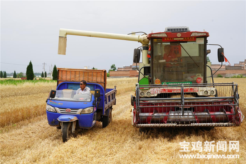 「寶雞三夏進行時」一位農(nóng)機手的糧食安全觀