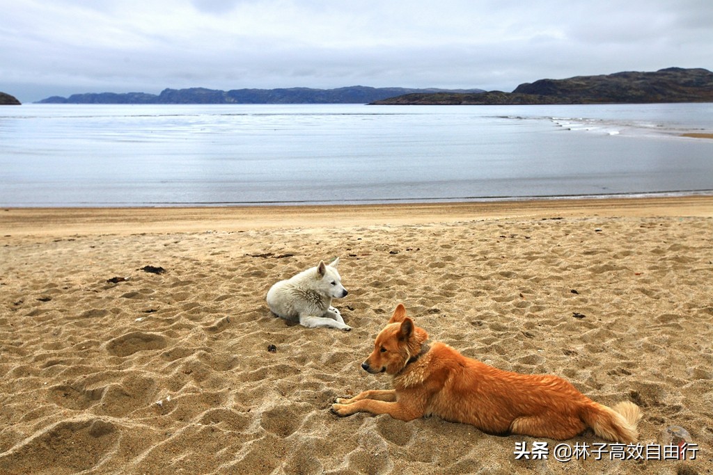 一个在俄罗斯追光成功的游客告诉你：除去运气，追极光其实并不难