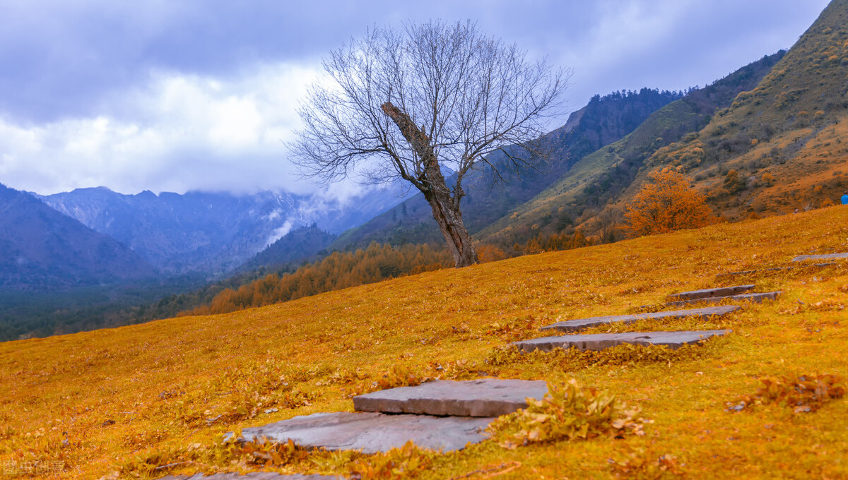 最新2021年四川省各地市GDP排名：成都离两万亿一步之遥