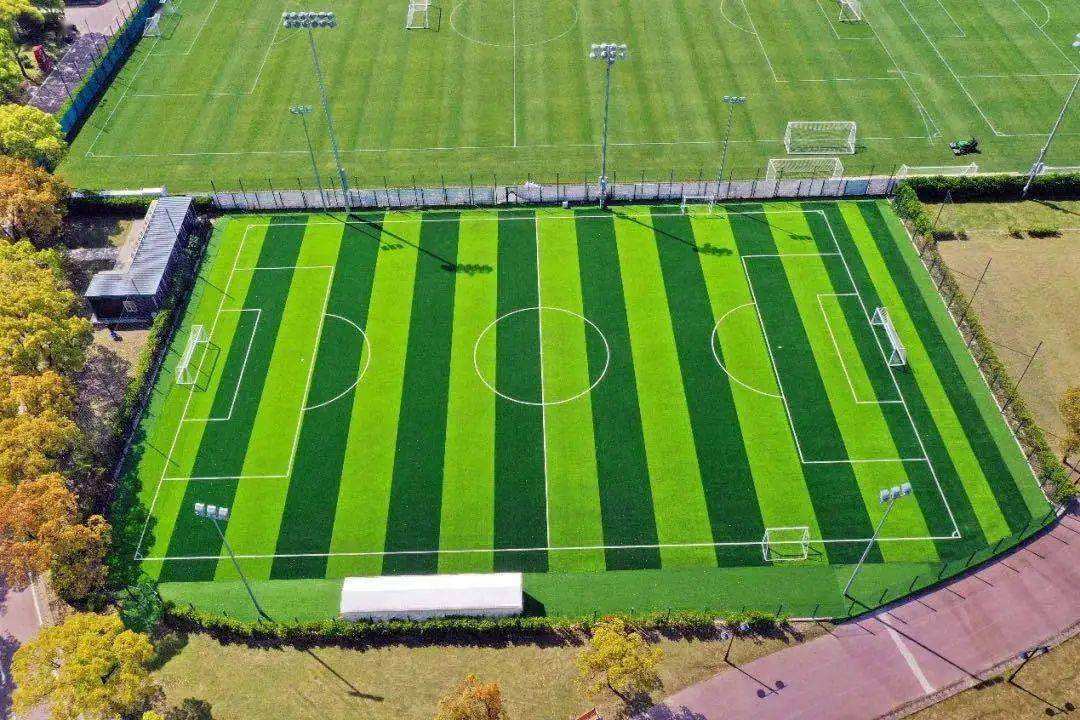 七人制橄榄球是什么制橄榄球（2022年第19届杭州亚运会比赛项目介绍之七人制橄榄球）