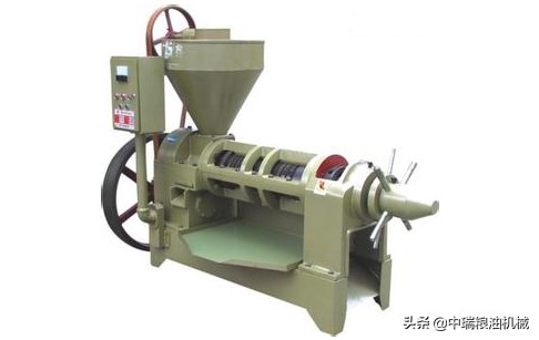 山茶果怎么榨油？榨山茶油的专用机器