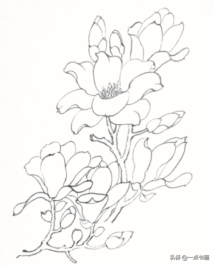 桃花树怎么画好看(教你简单易上手的桃花树画法)