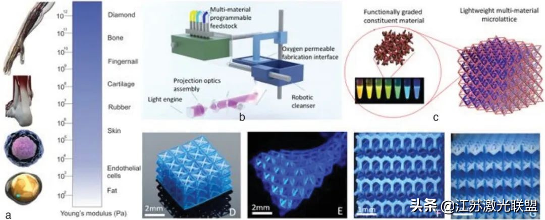 激光粉末床融合多材料增材制造的最新进展和科学挑战（1）