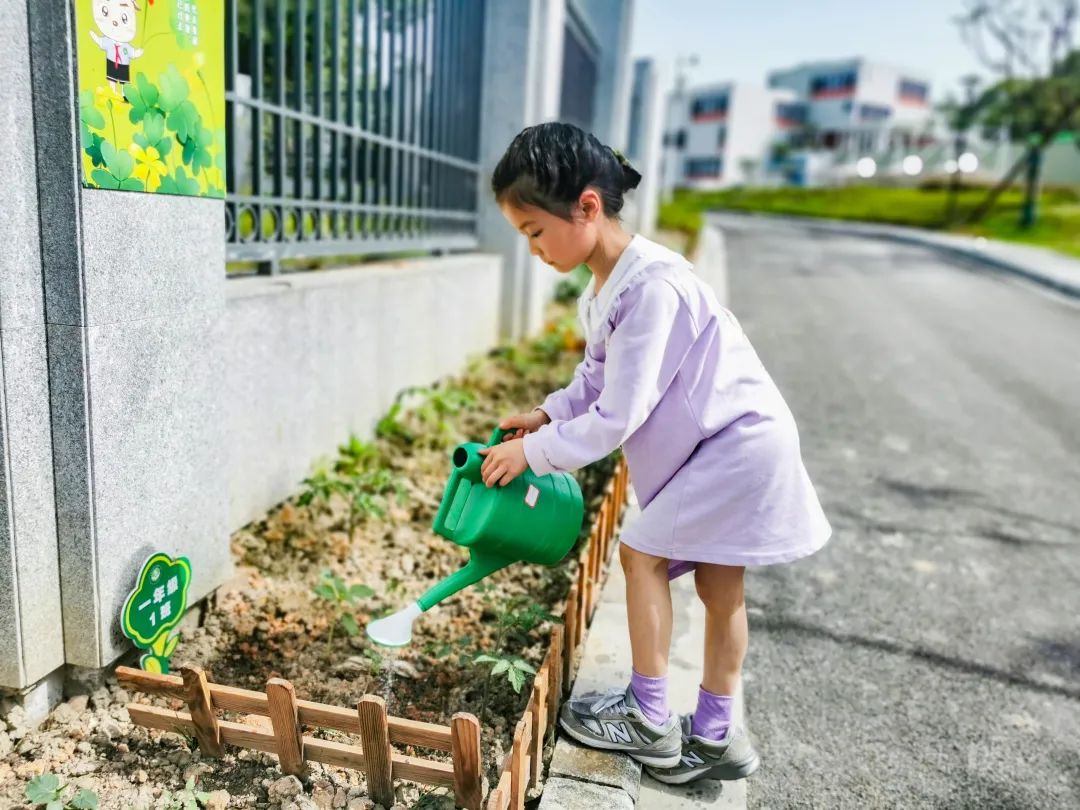 「责任教育 劳动课程」成都市双流区黄甲小学开发特色劳动种植课程