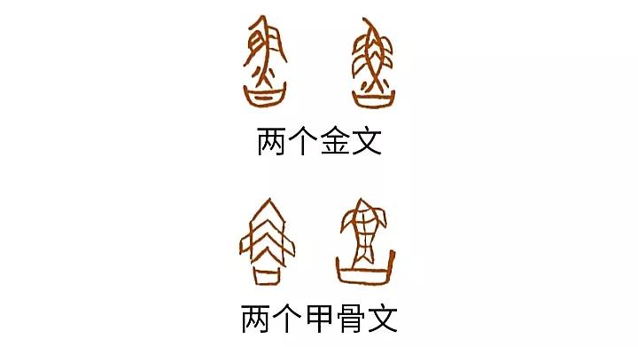 《白魚解字》：魚及捕魚養(yǎng)魚