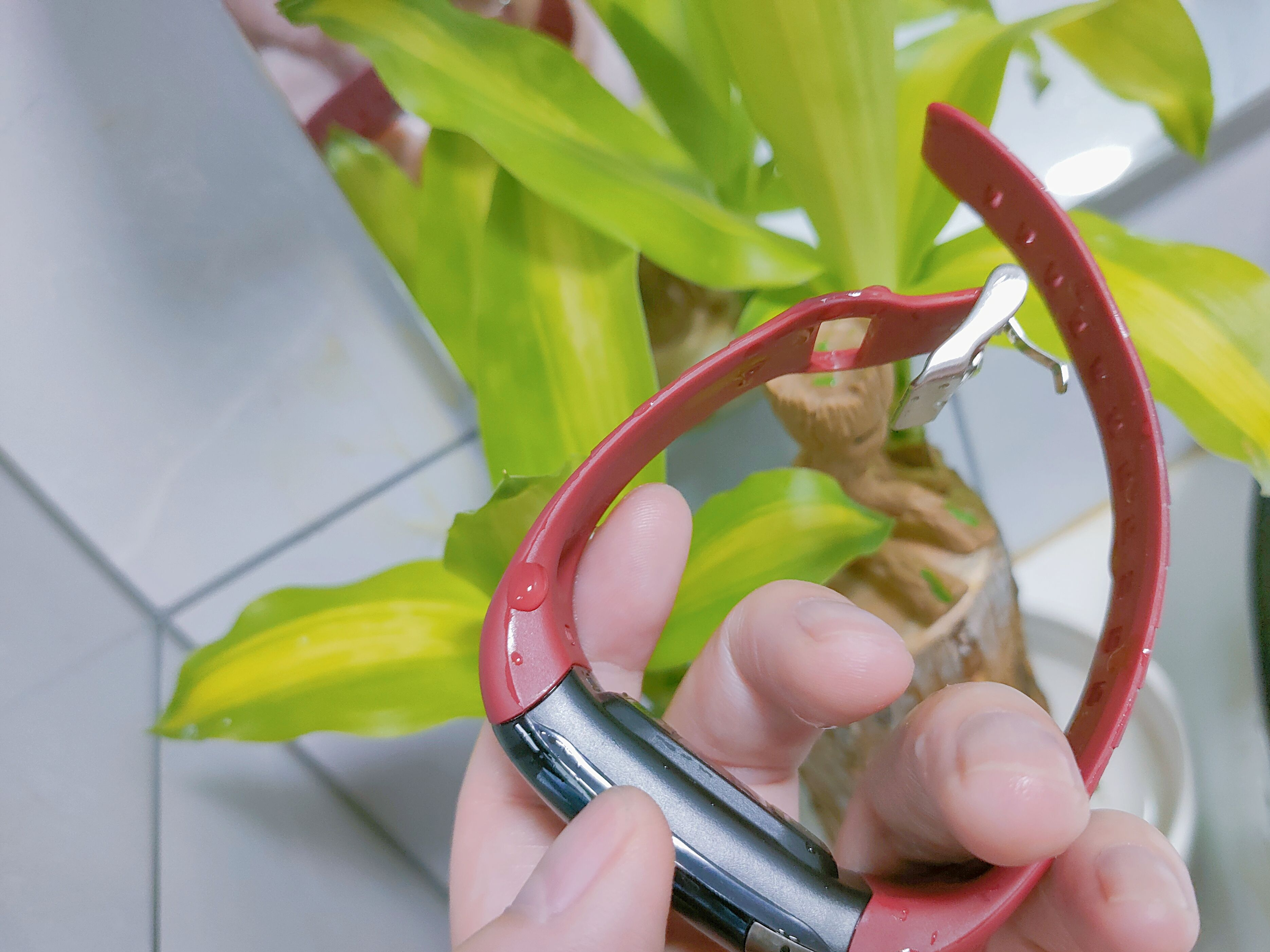 DIDO Y2多彩健康智能手环 让健康通过数据说话