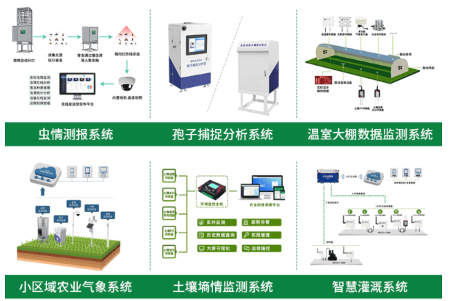 智慧大棚——用科技讓大棚“開口說話”