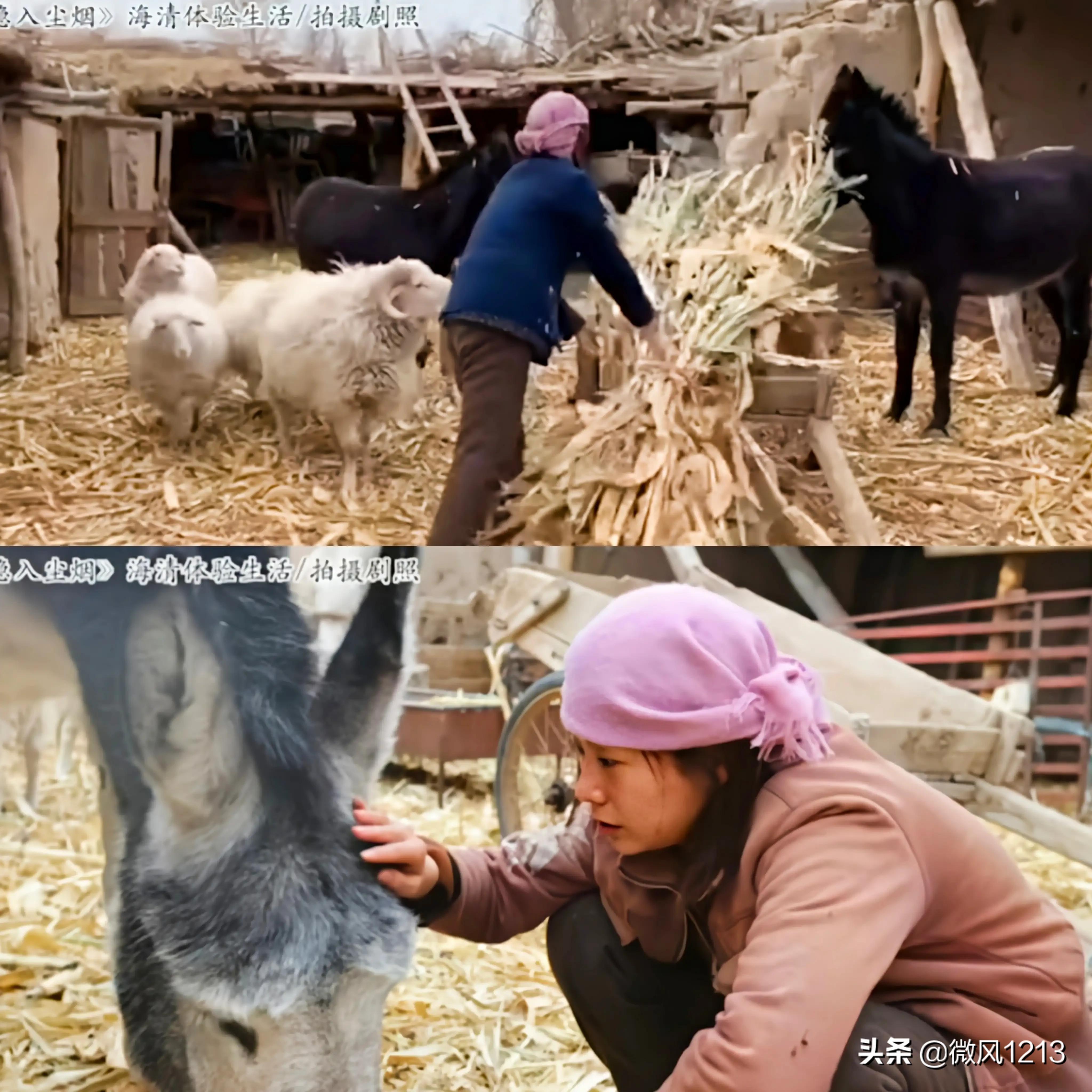 为演好角色，海清去农村体验10个月，林青云为角色体验桥洞生活