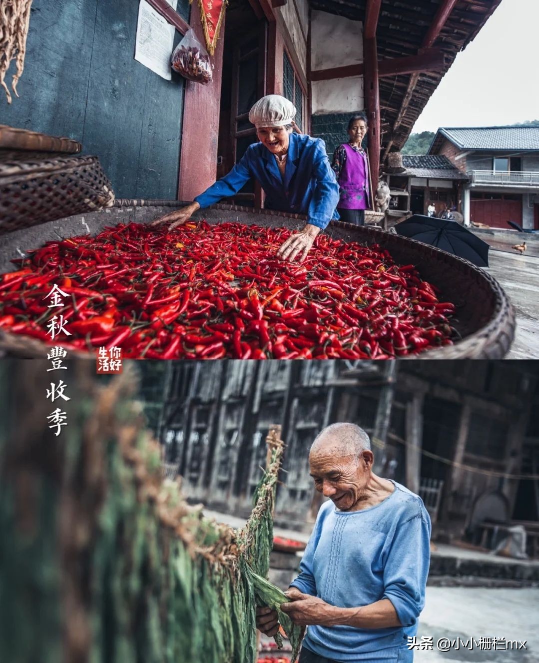 好句摘抄｜《你好生活》温暖而治愈的小句子，收藏起来吧