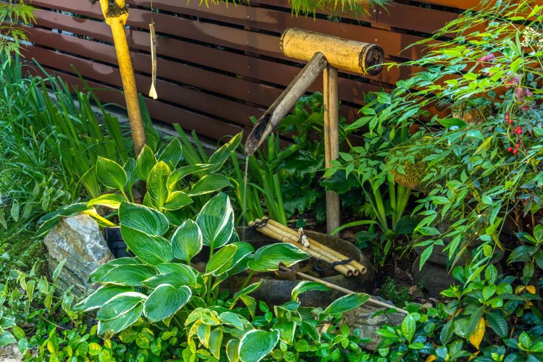 打造一个水景，让流水叮咚入梦来