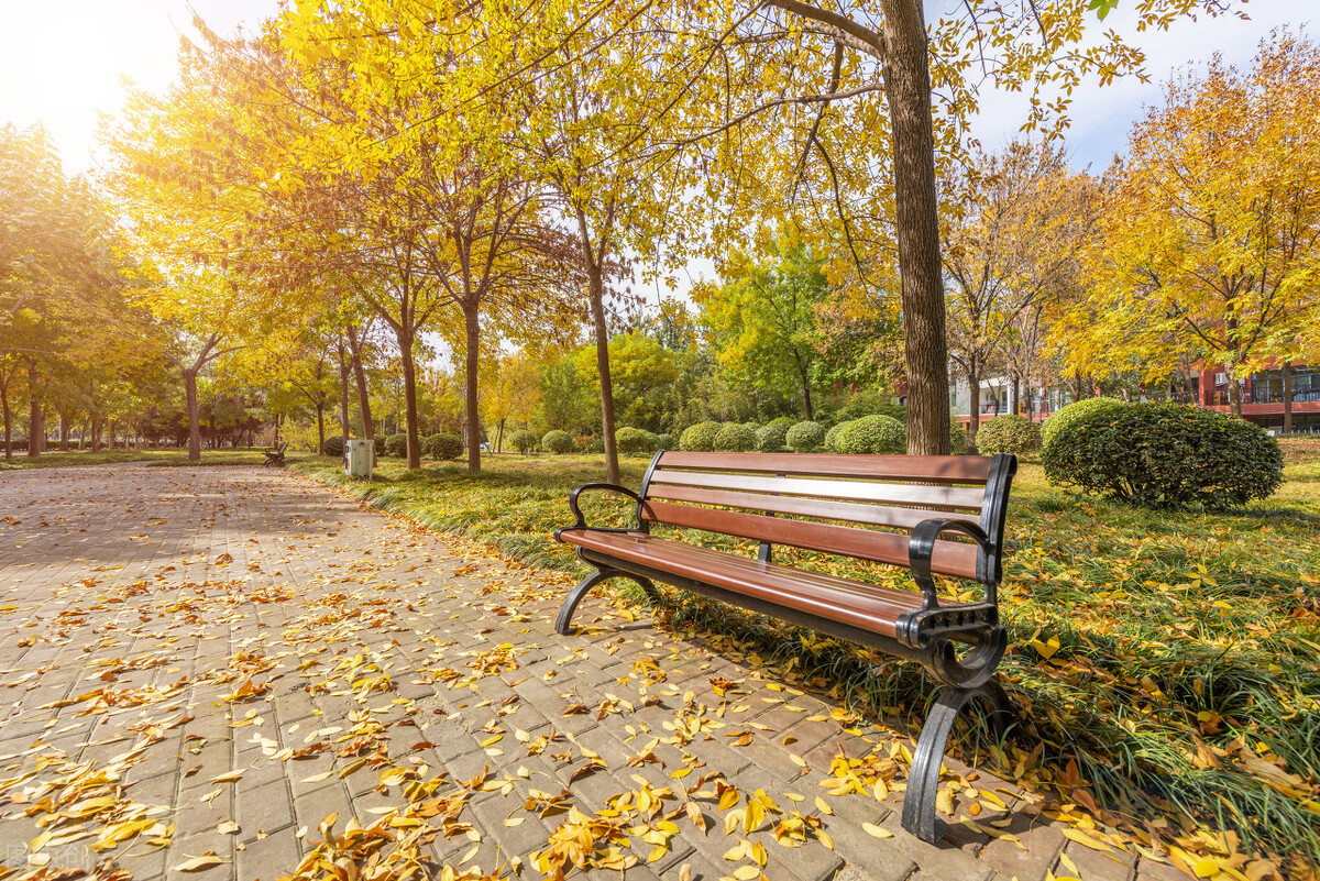 描写秋天的落叶一句话(描写秋天落叶的句子)_爱阅读