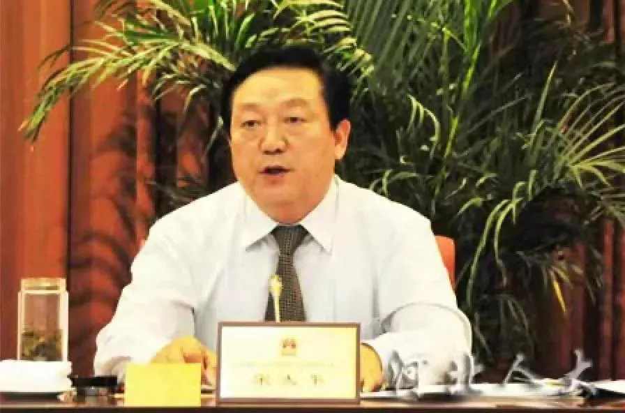 被落马同僚揭发的“河北虎”被逮捕