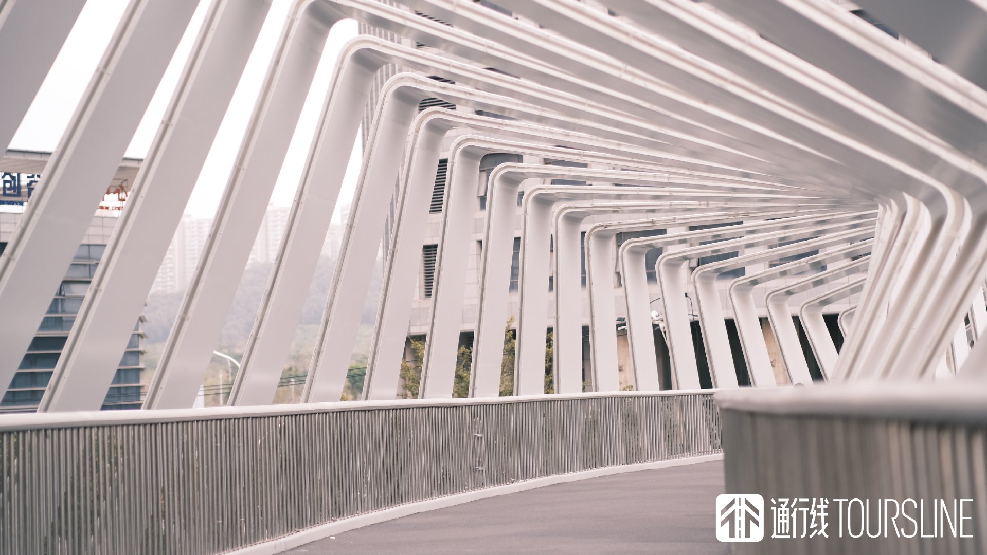 历经数十次循环，绝版照片带你了解这辆45路专线公交车的“开端”