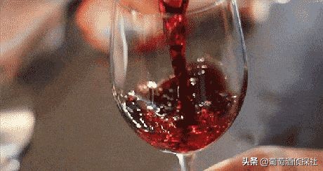 怎么酿制葡萄酒最好（分享葡萄酒酿造过程）