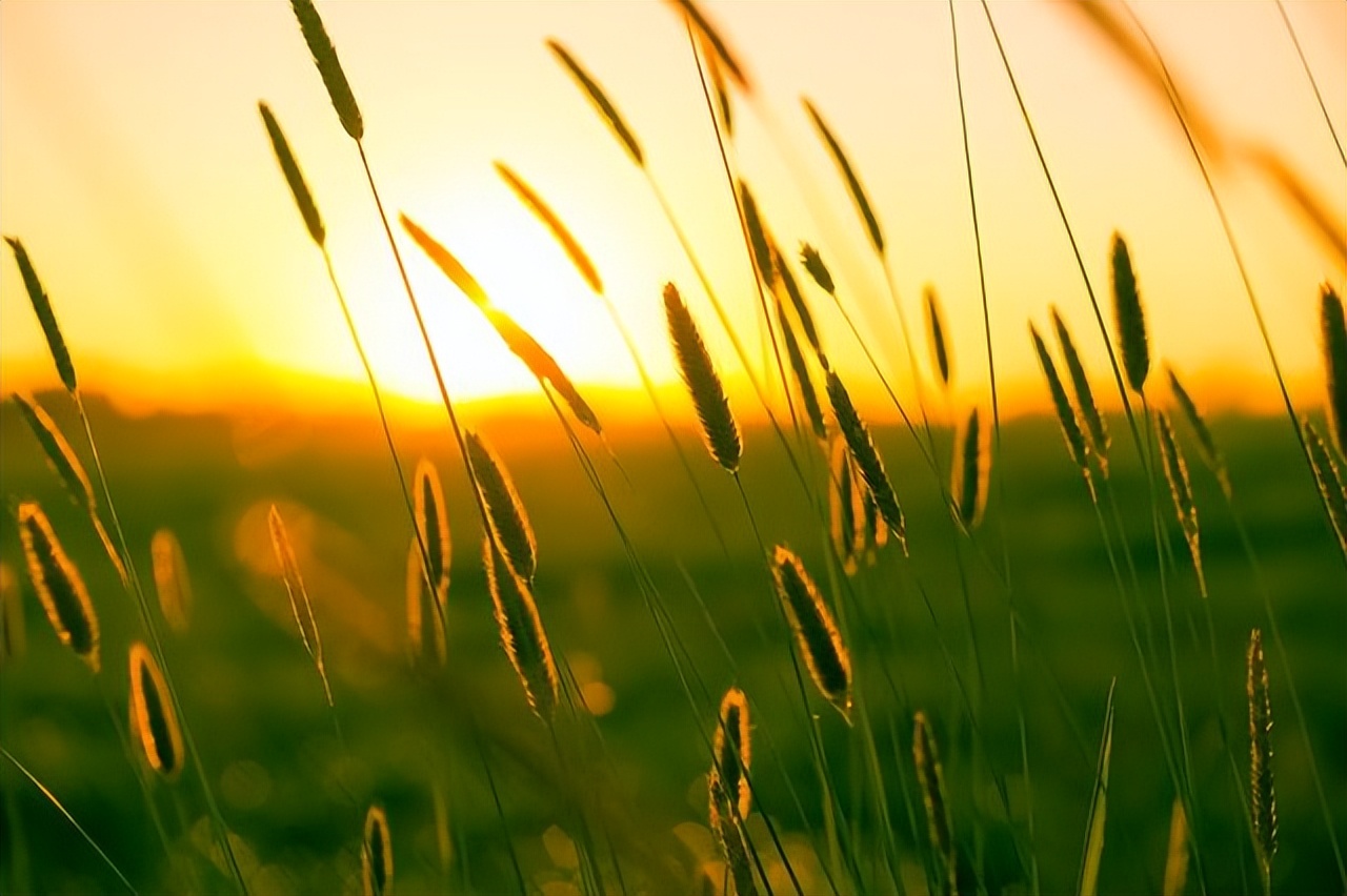 奔五的70后，感悟最深的五句话，送给你