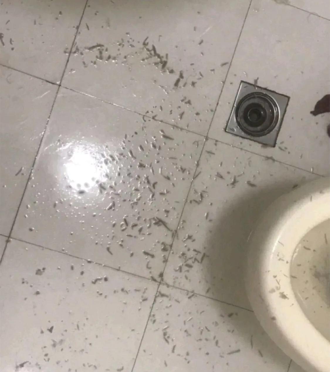 说说关于心情的说说配图「幽默」 _qq说说网