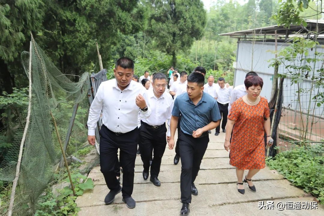 �Ĵ���ͨ�����Ÿ������커��ҵ�����罻��ѧϰ