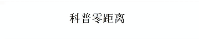 血腥真相：人头落地的瞬间感受，现实残酷画面曝光！