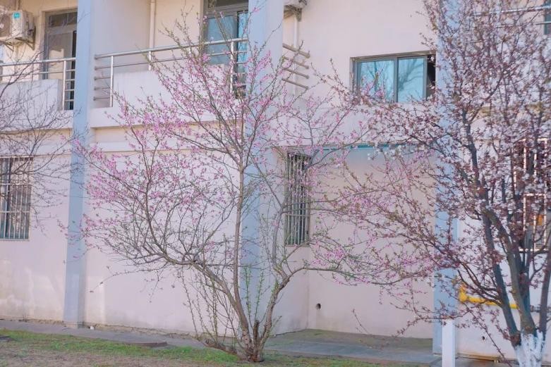 风“华”正茂，“理”想正好！这场双向奔赴，华东理工大学等你！