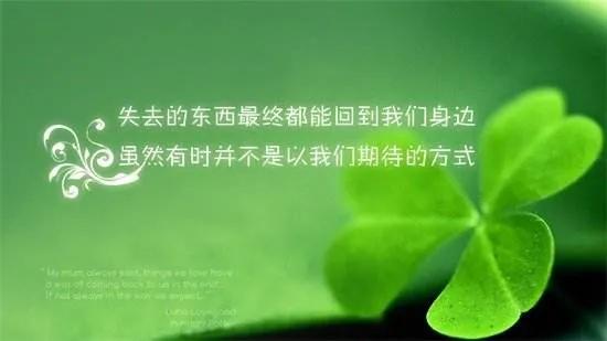 以积极心态拥抱生活，每一步都是向光而行的美丽旅程