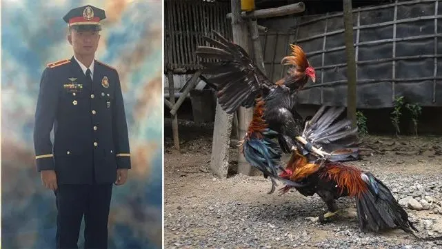 网上赌场的“性感荷官”,在拼命从菲律宾逃回中国