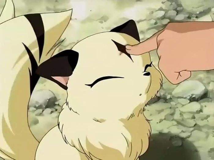 虎年说猫：动漫里的那些猫咪们