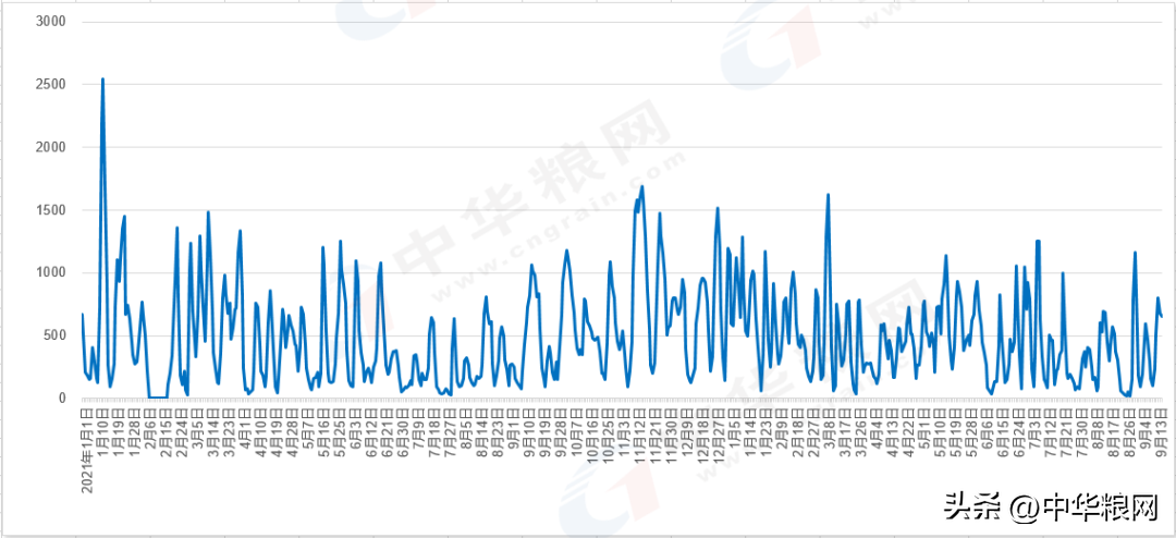 9月18日东北新季玉米陆续开收，价格30%水1块多；小麦震荡调整