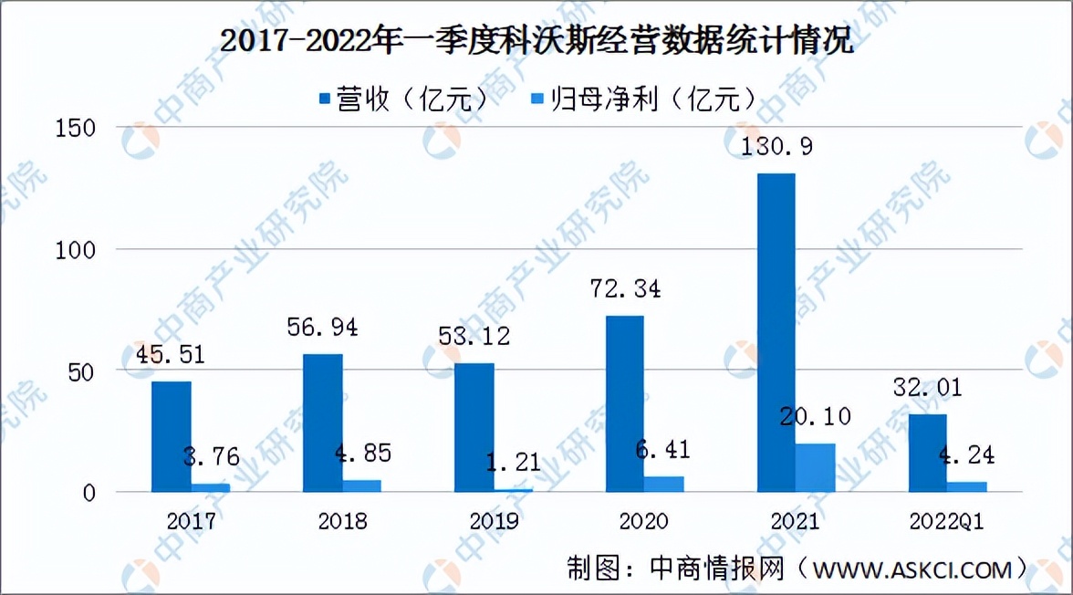 2022年中国清洁电器行业市场前景及投资研究报告