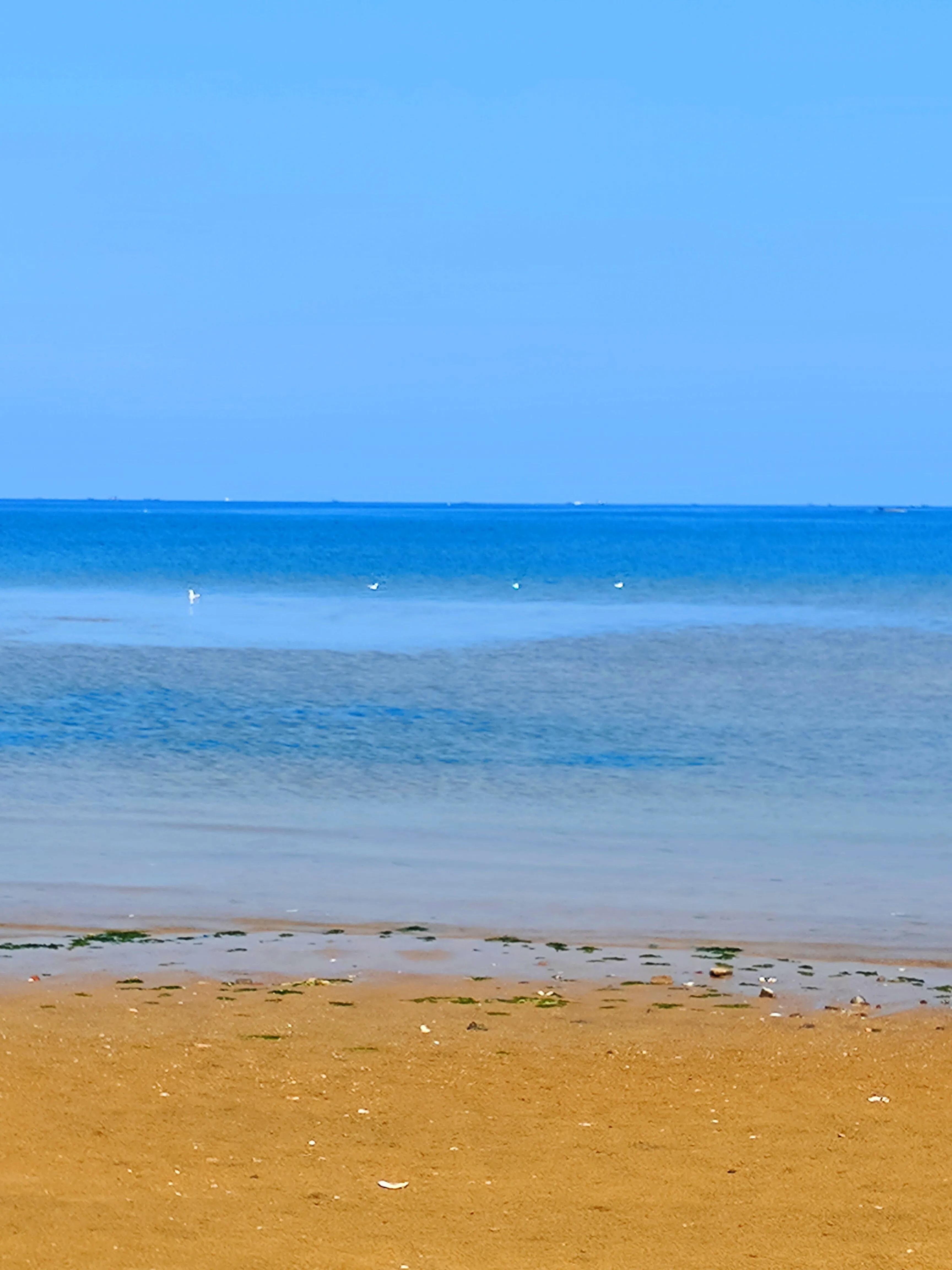 水天一色间，问一声那海鸥