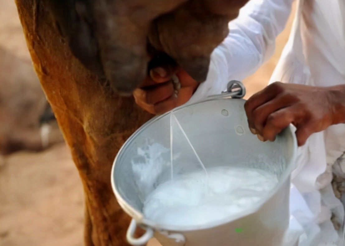 �������������٣���׼���µļ�����Ϣ�������򲻵�������