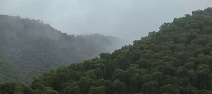 山居,生活本来的样子