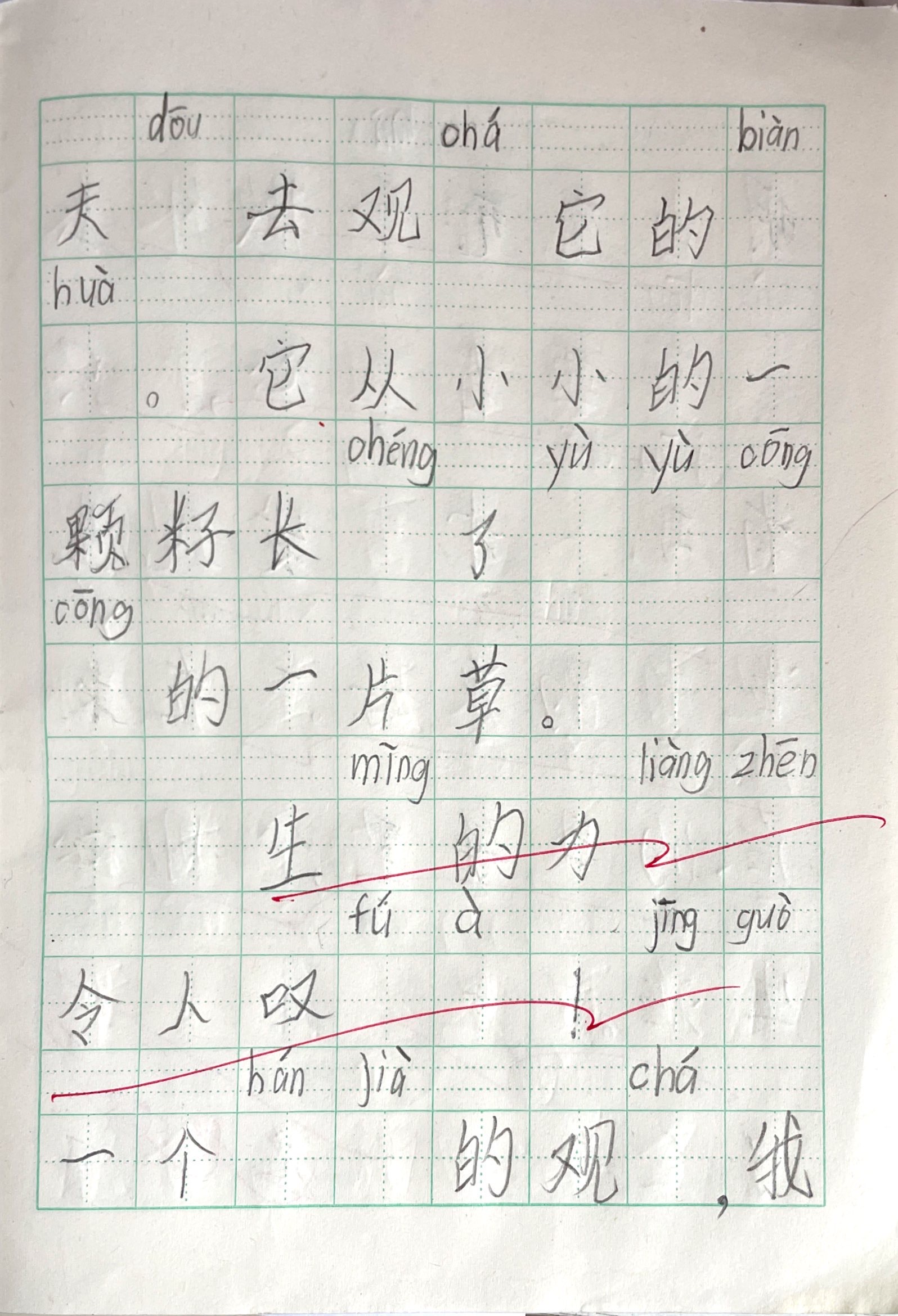 植物生长观察日记（2）