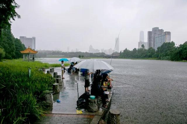 深圳8个免费旅游景点，你去过几个？