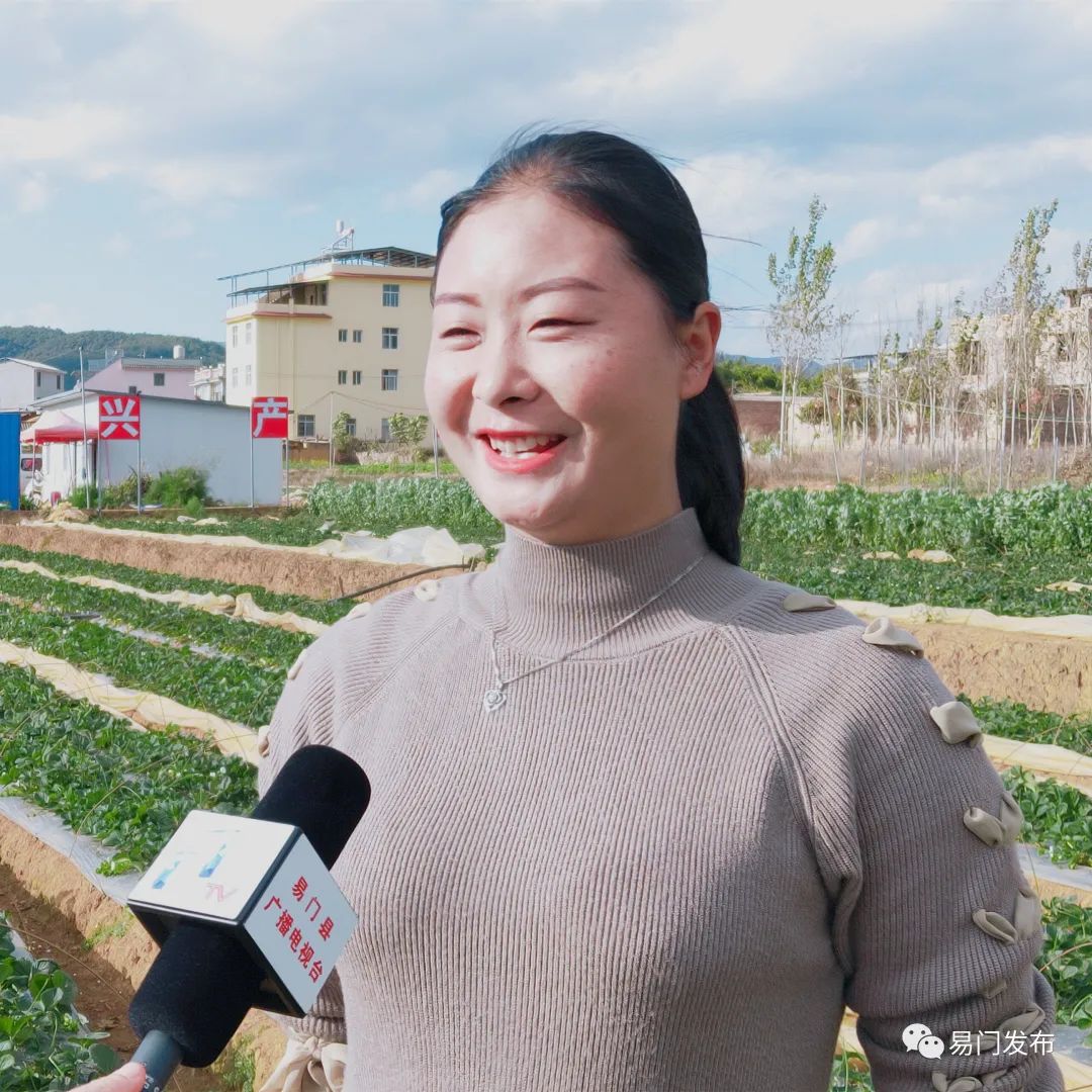 龙泉街道曾所社区：小草莓结出“致富果”?