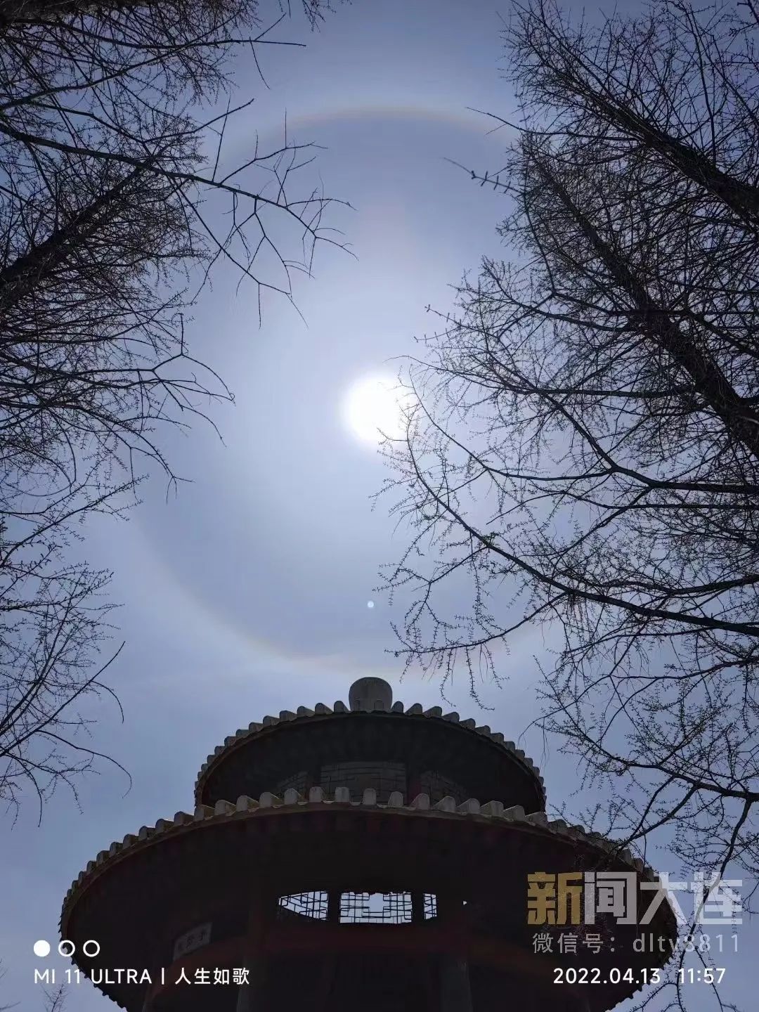 今天的朋友圈，有点儿“晕”