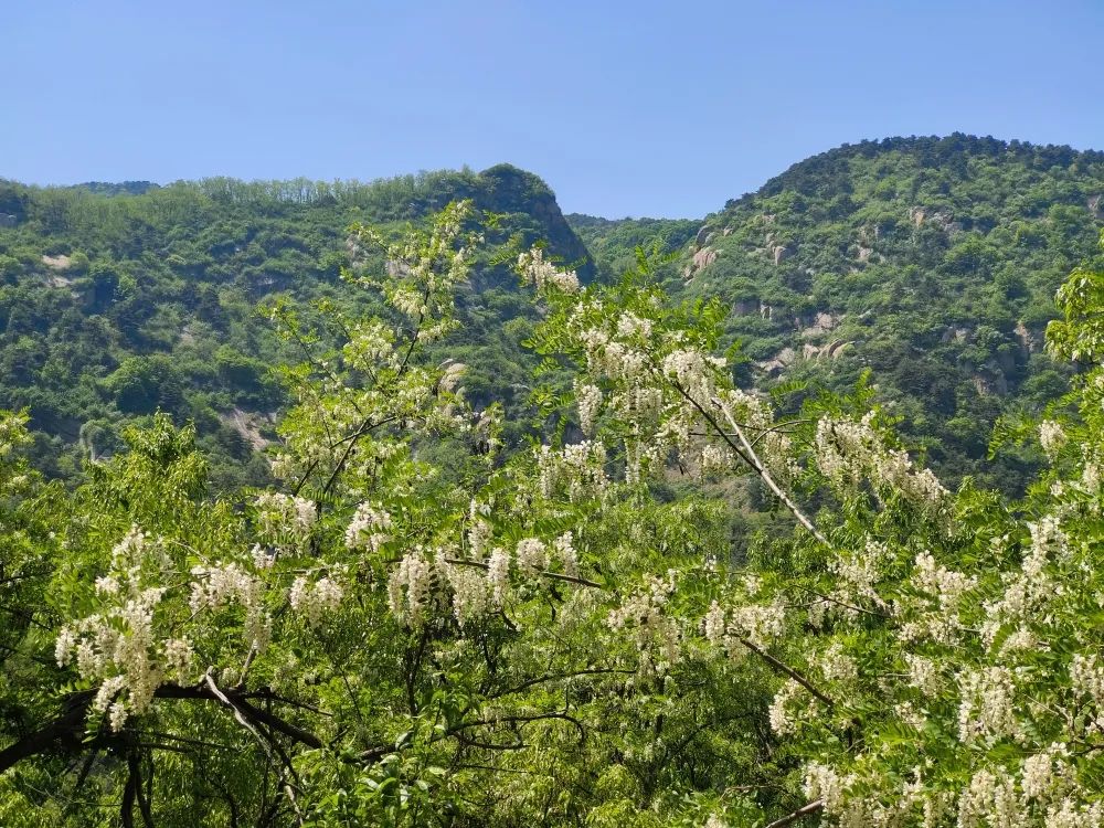 淄博旅游景点（淄博旅游景点上市公司名单）-第11张图片-昕阳网