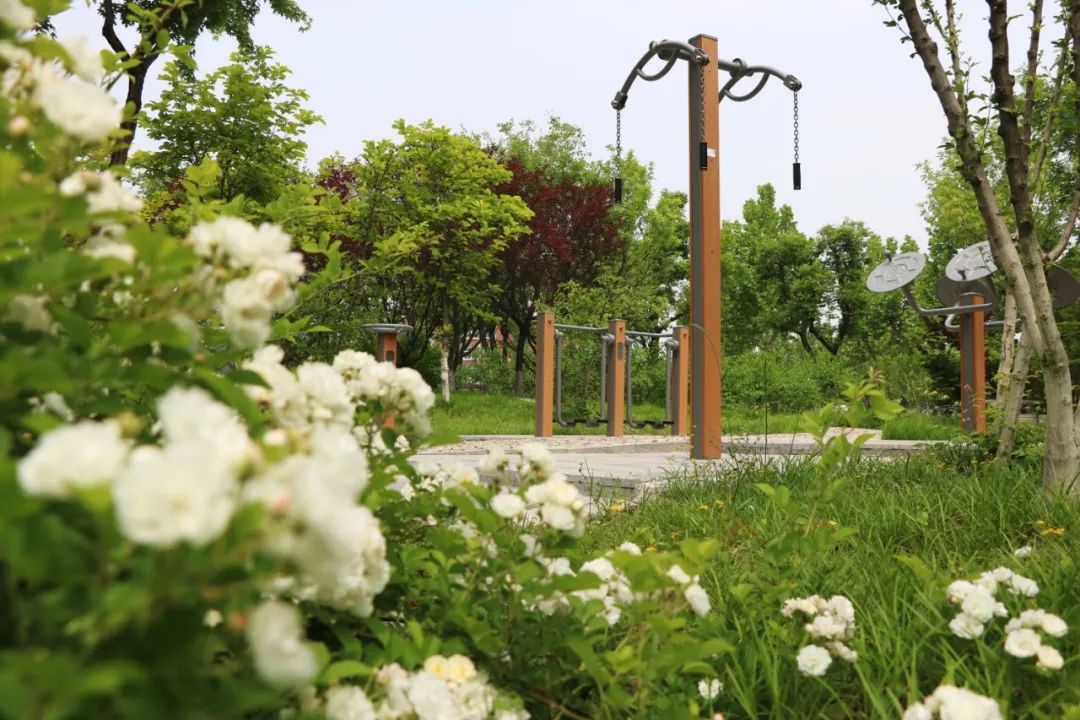 山东工业技师学院：走进金牌工院 品鉴校园资产