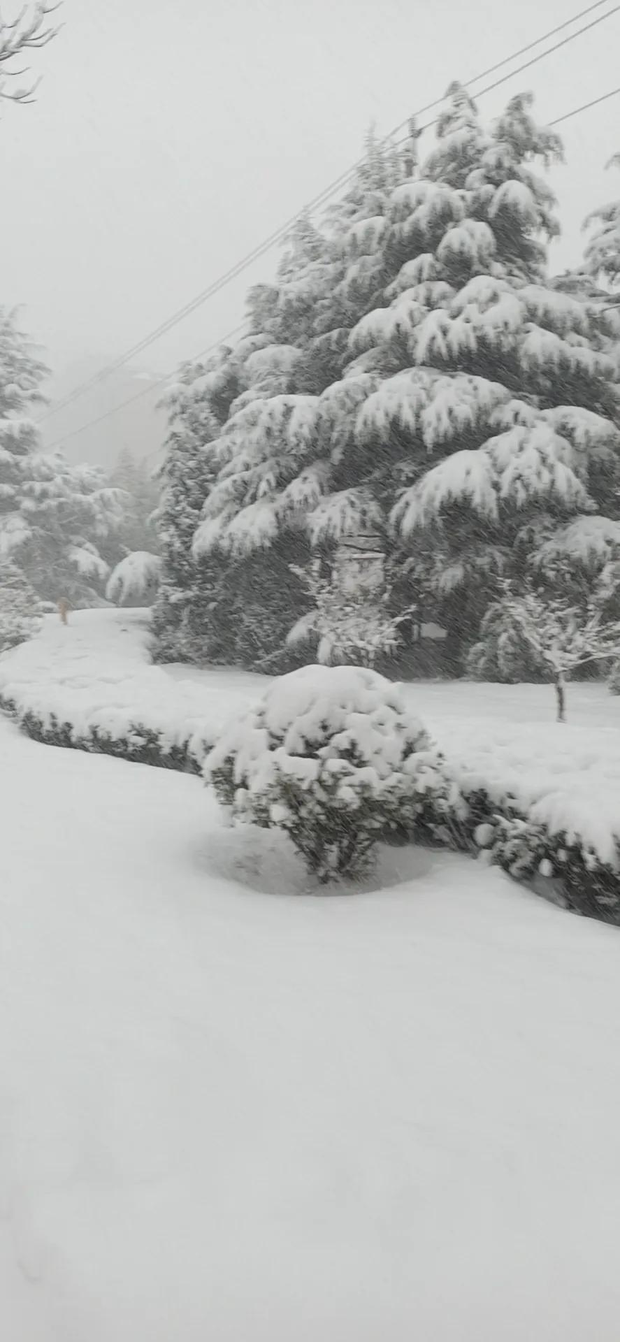 吉兆，凶兆，下雪天打雷？