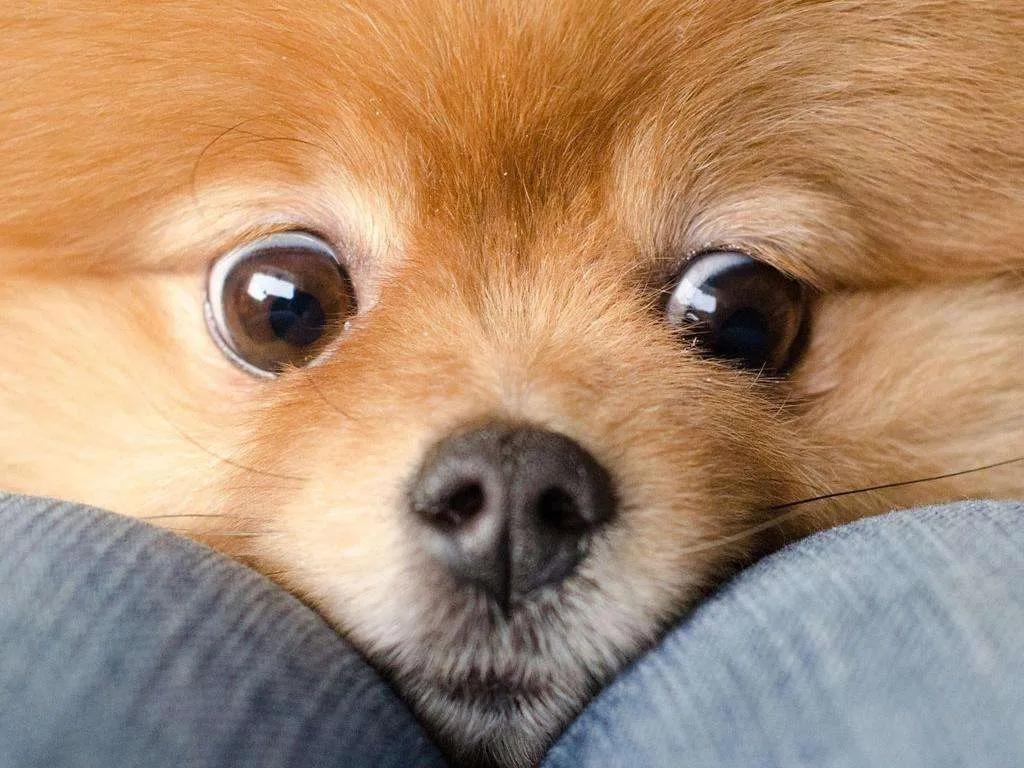 她终于撑不住了，开始紧急招聘男朋友