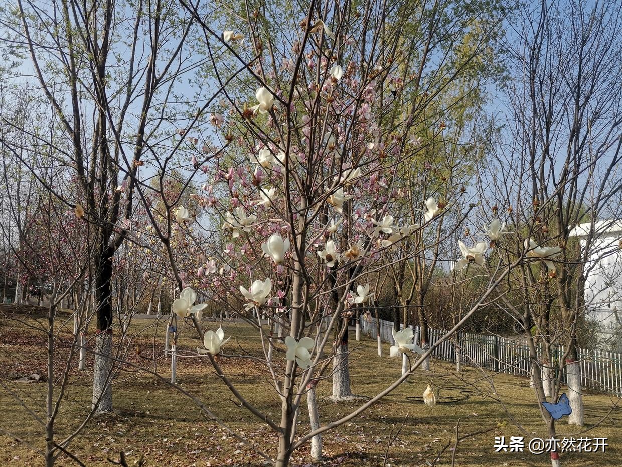 运用三种元素，采用四种方法，让对话描写出真实场景