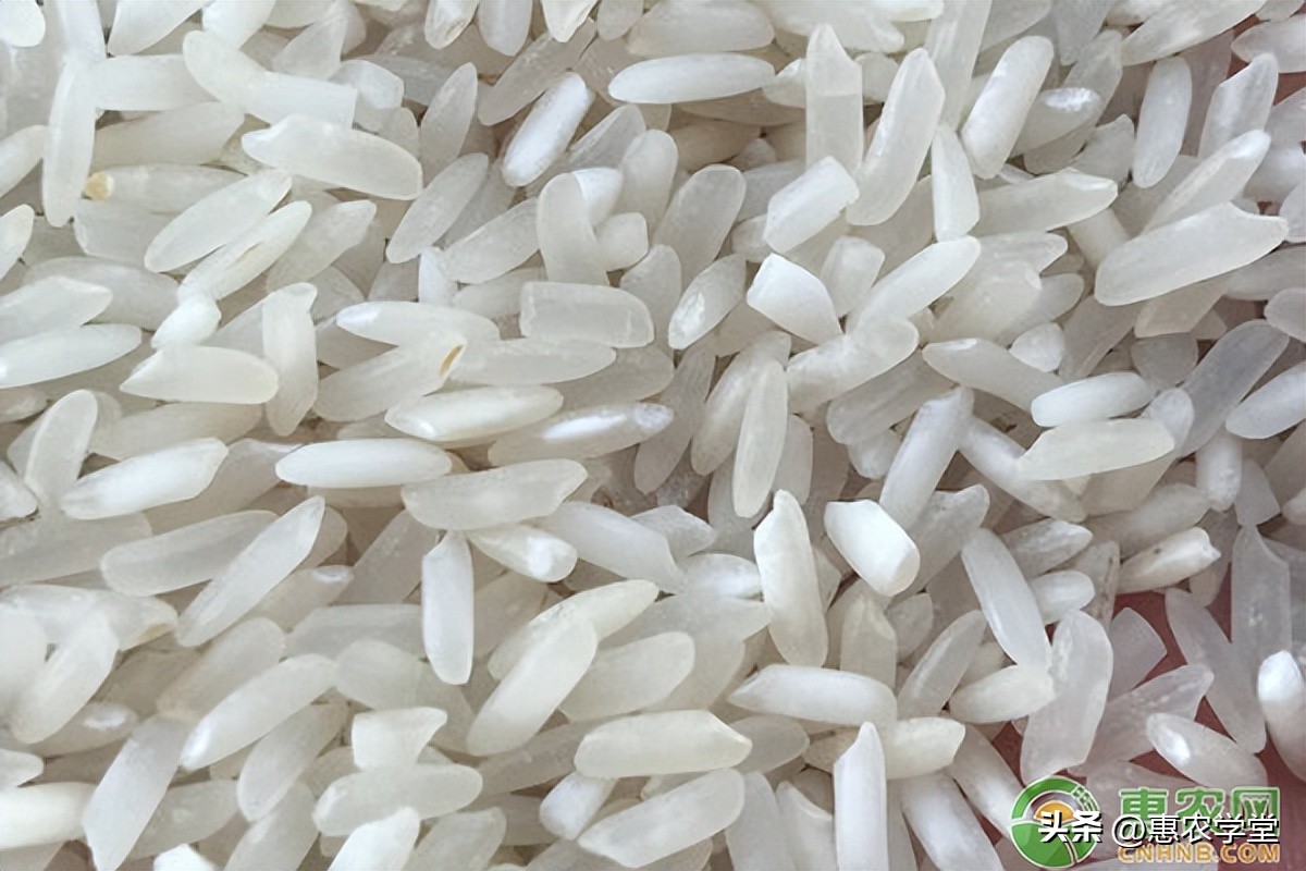 4月大米价格多少钱一斤？