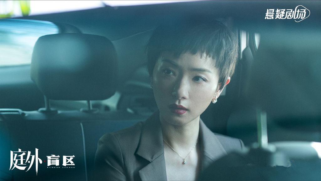 《庭外》首播，夏雨自带精彩，罗晋依旧文雅，快节奏商业刑侦剧