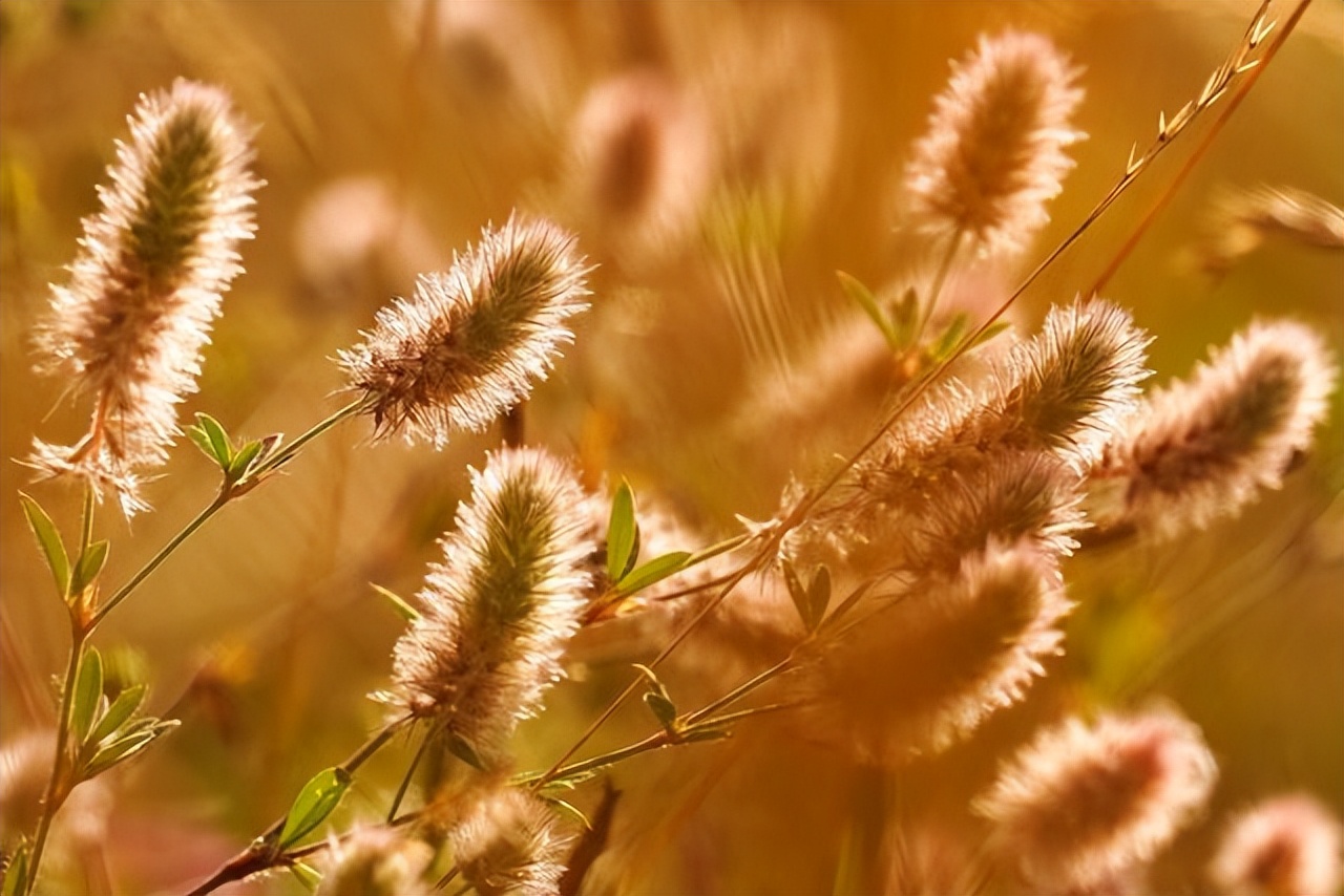 半生已过，这段话，送给不容易的自己