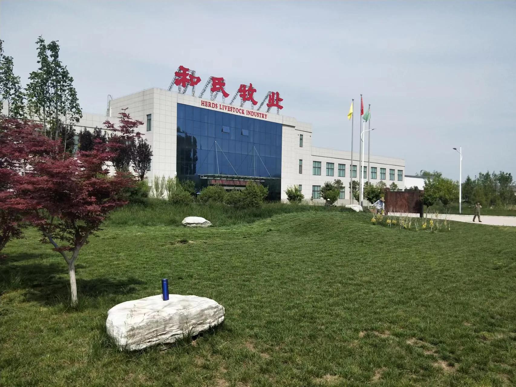 奶山羊全產(chǎn)業(yè)鏈里的鄉(xiāng)村振興畫(huà)卷