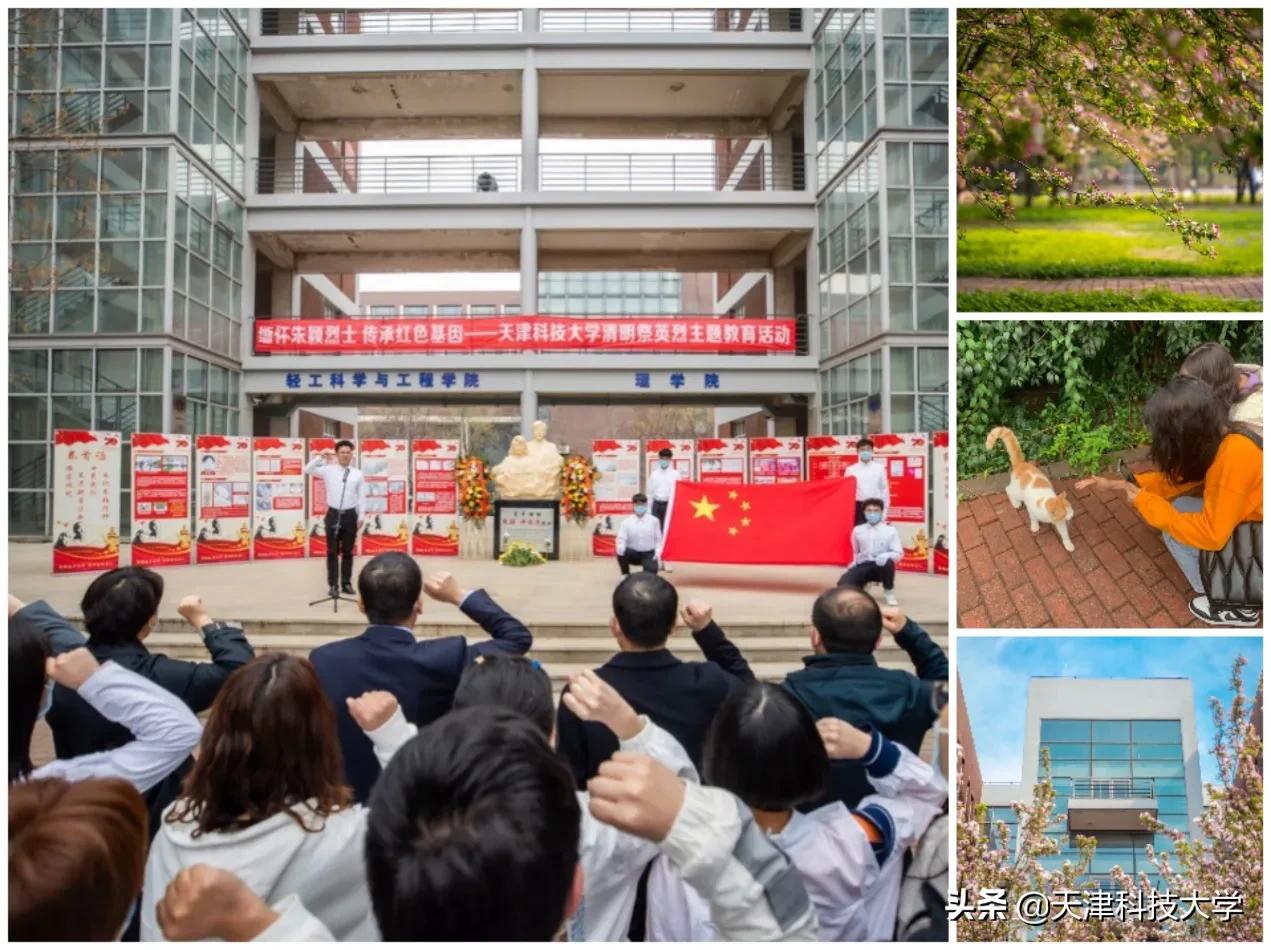 【年末总结】2021将成过往，2022开启新生！